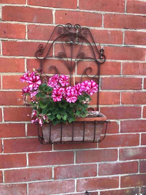 Brook Lodge Garden Flat 스와니지 외부 사진